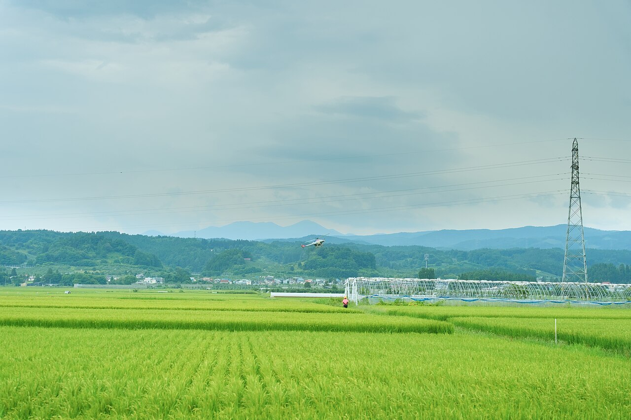 Drone pertanian di atas sawah